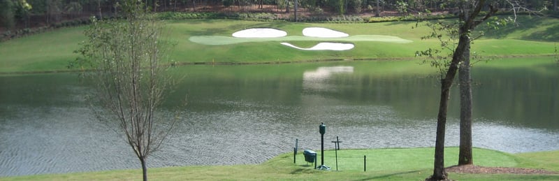 Backyard Golf Courses